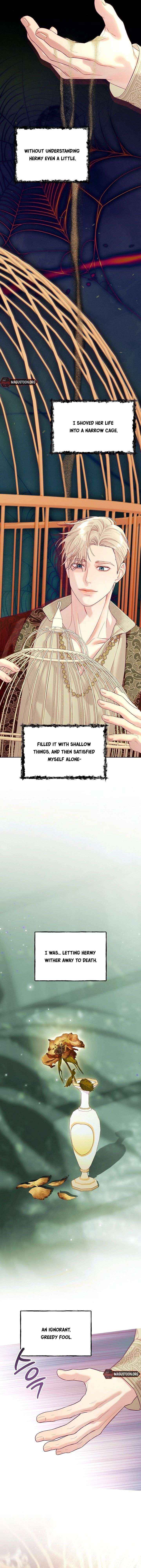 Read The Collector