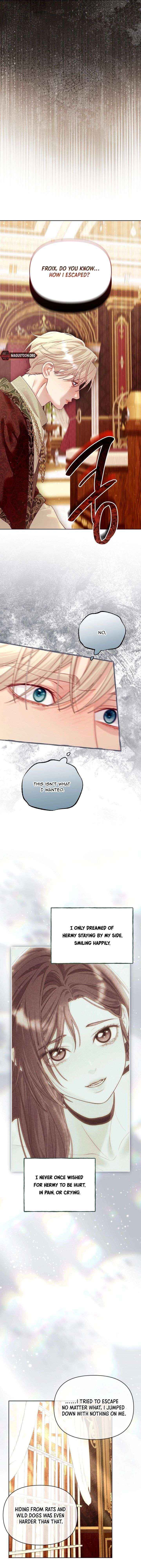 Read The Collector