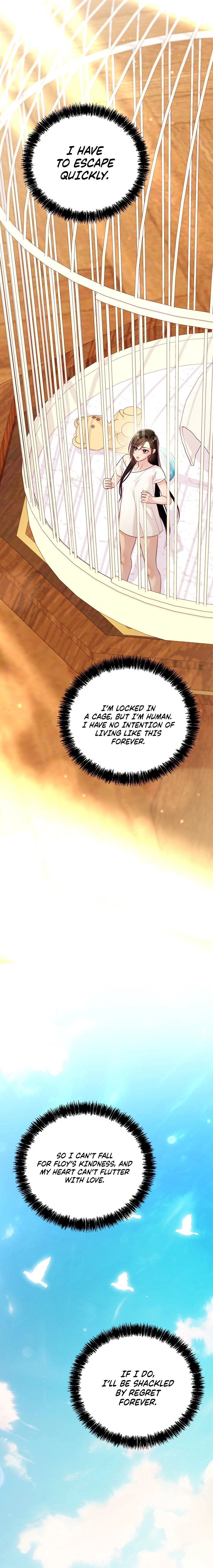 Read The Collector
