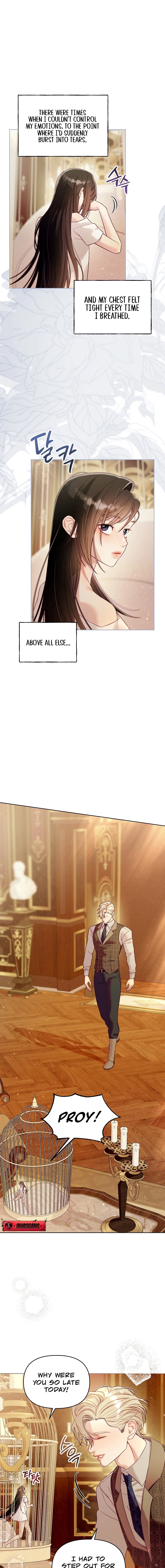 Read The Collector