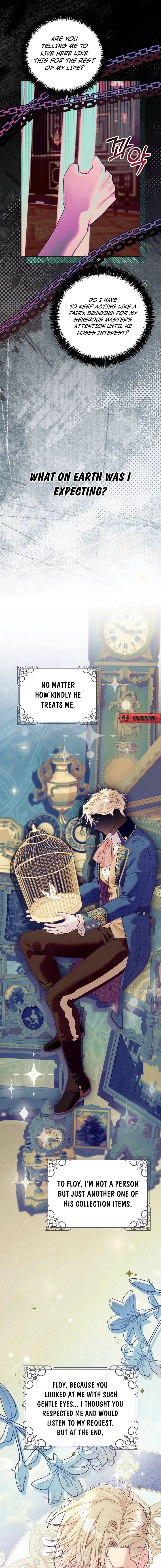 Read The Collector