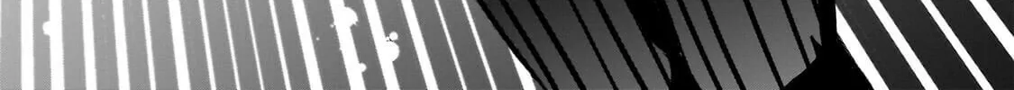 The Conqueror from a Dying Kingdom Chapter 13 page 8 - 
