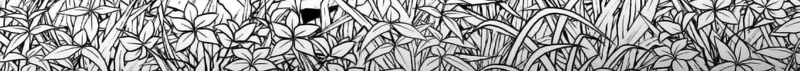 The Conqueror from a Dying Kingdom Chapter 20 page 13 - 