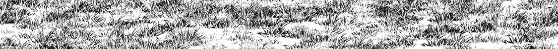 The Conqueror from a Dying Kingdom Chapter 33.1 page 3 - 