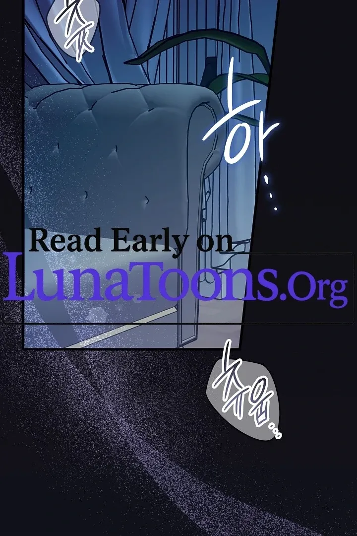 The Contract Marriage Night Chapter 1 page 3 - 