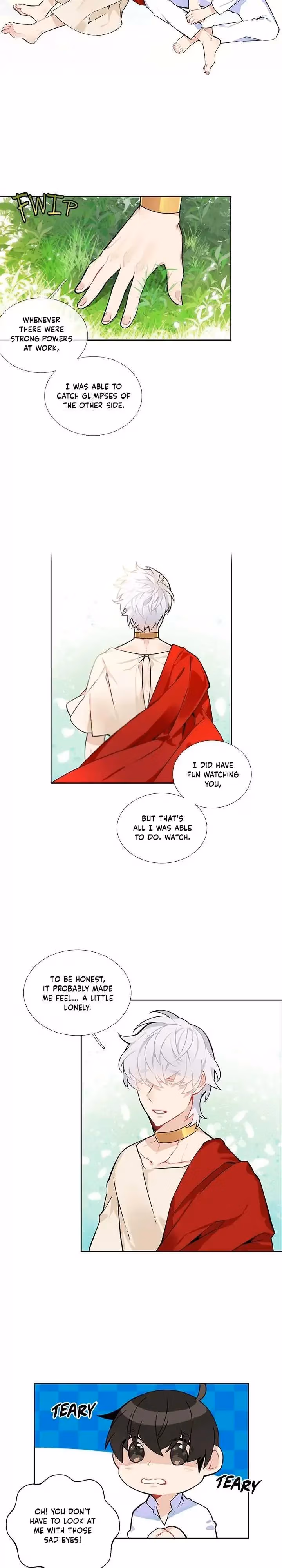 Read The Cook