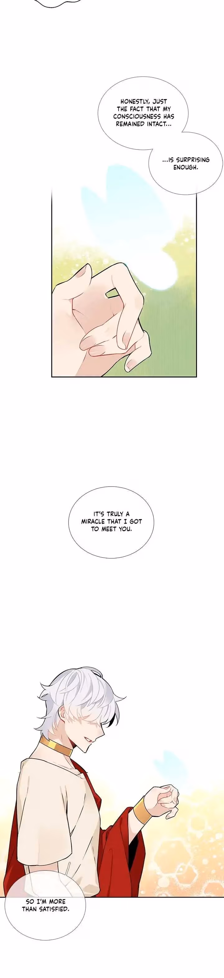 Read The Cook