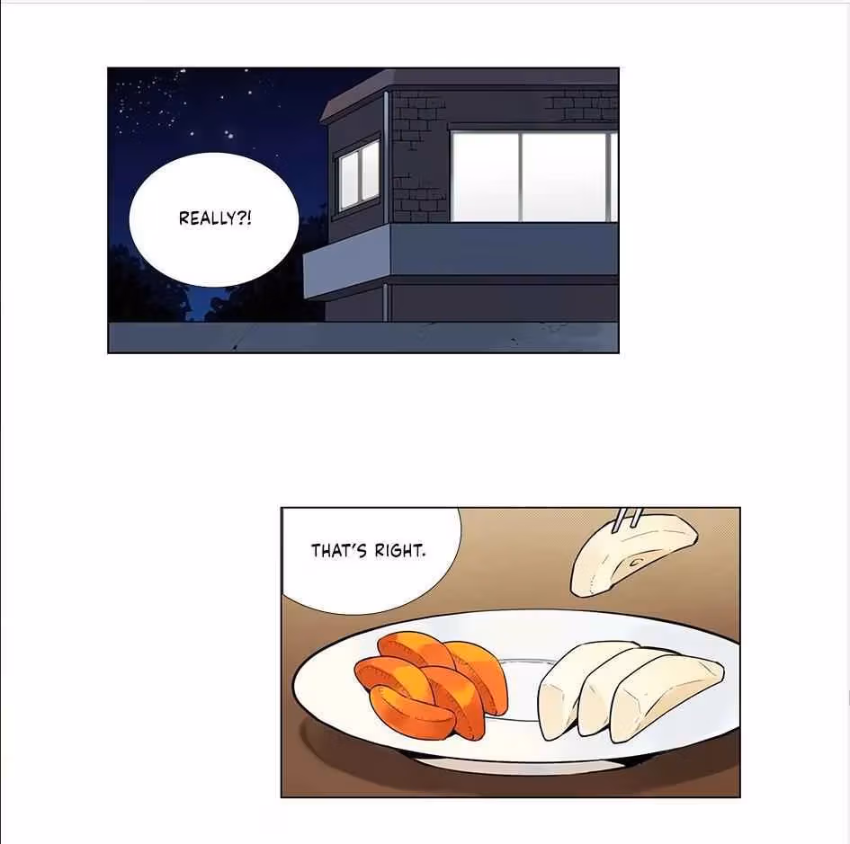 Read The Cook