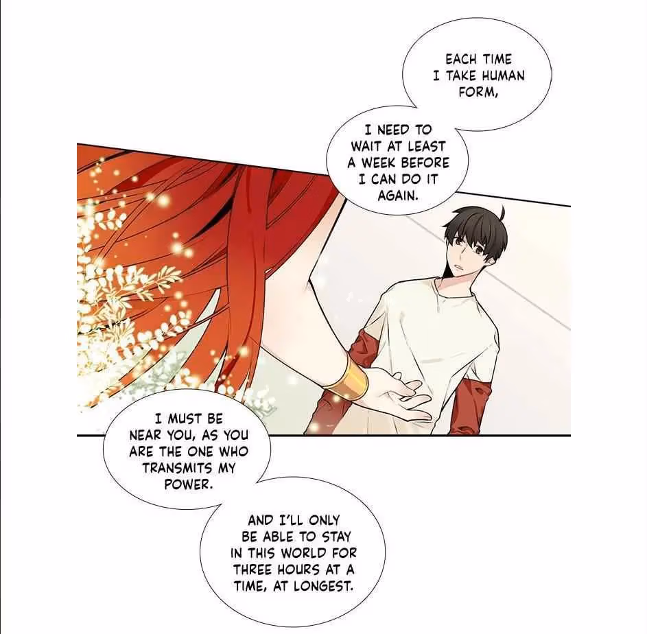 Read The Cook