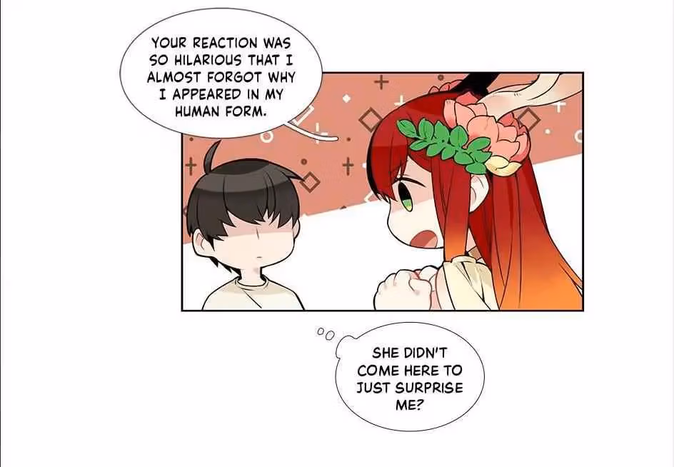 Read The Cook