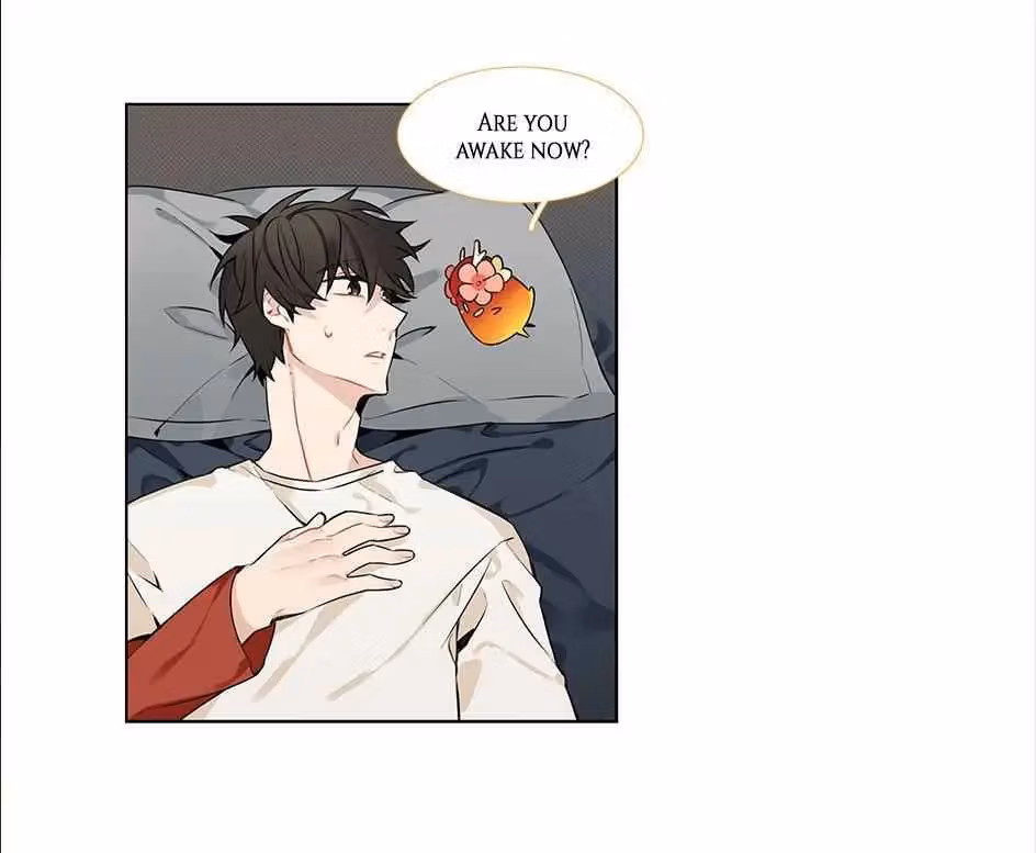 Read The Cook