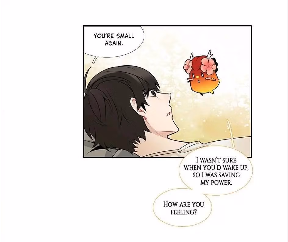 Read The Cook