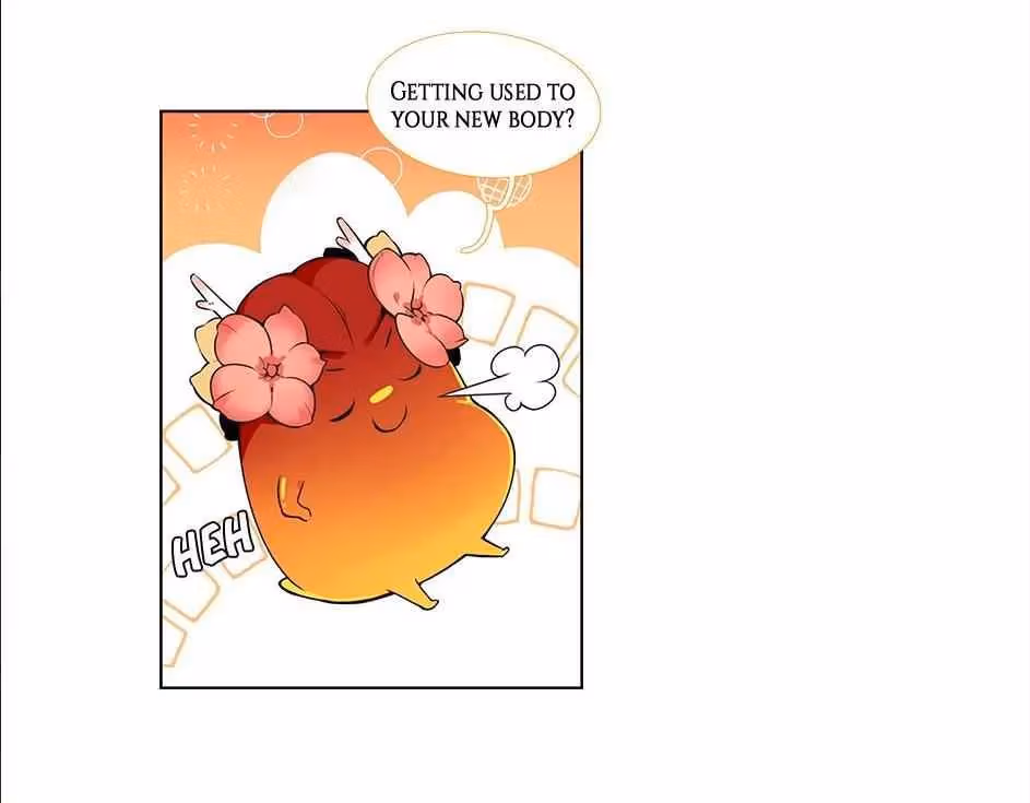 Read The Cook