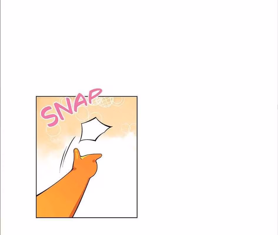 Read The Cook
