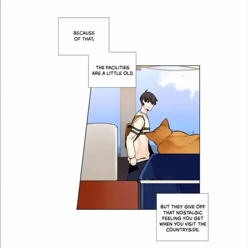 Read The Cook