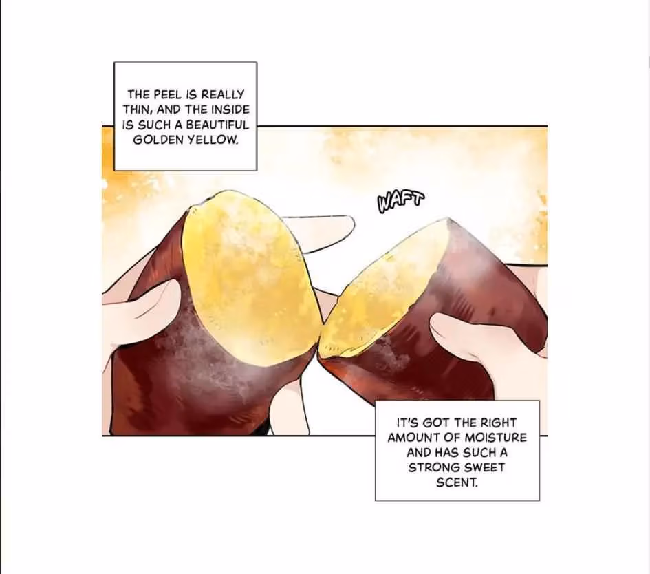 Read The Cook