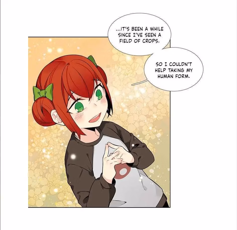 Read The Cook