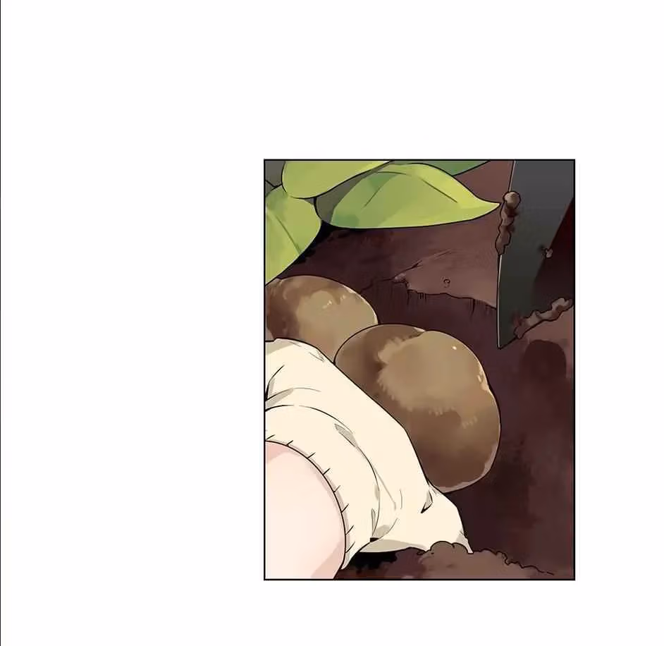 Read The Cook