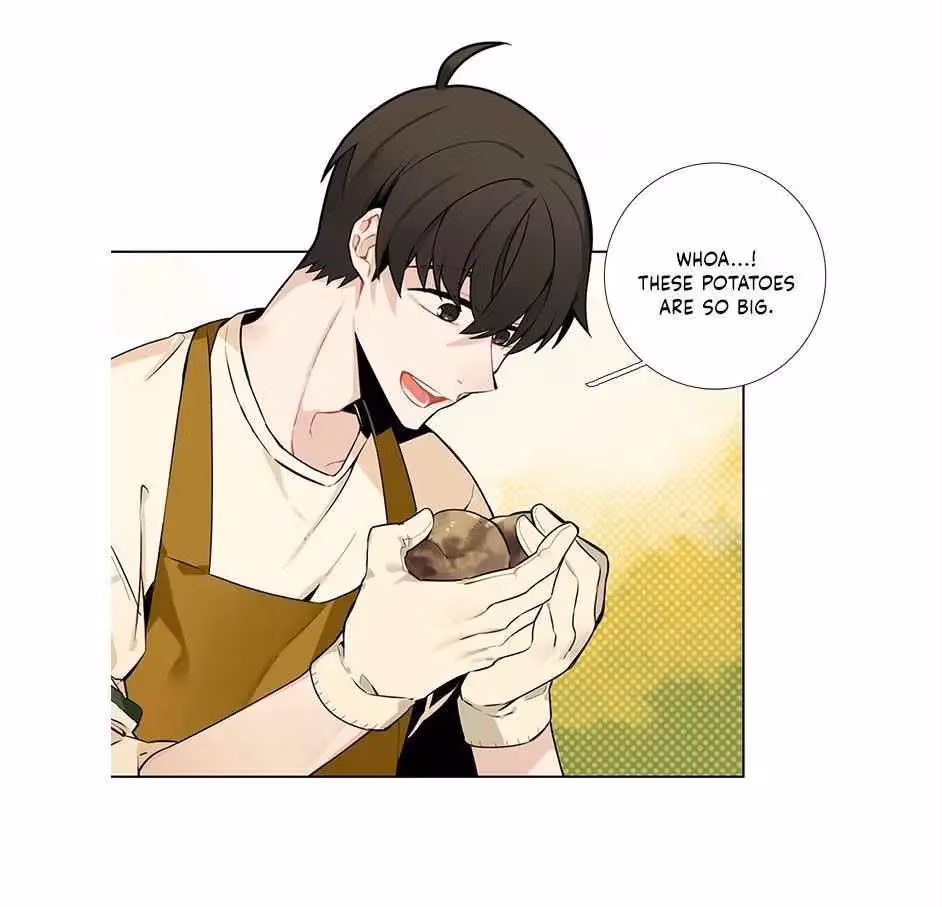 Read The Cook