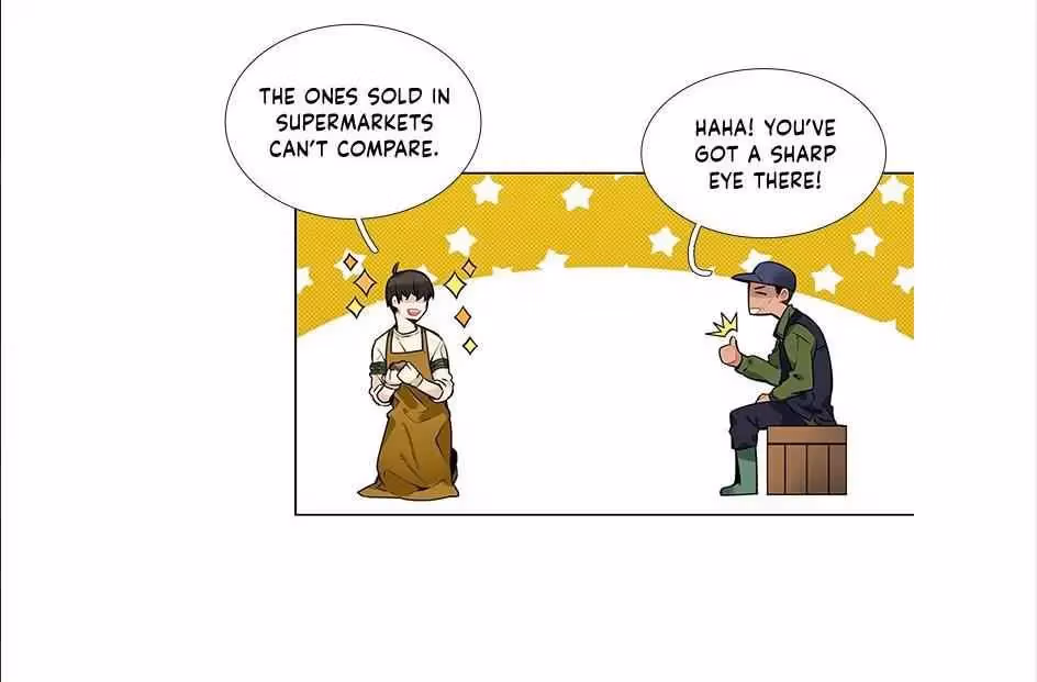 Read The Cook