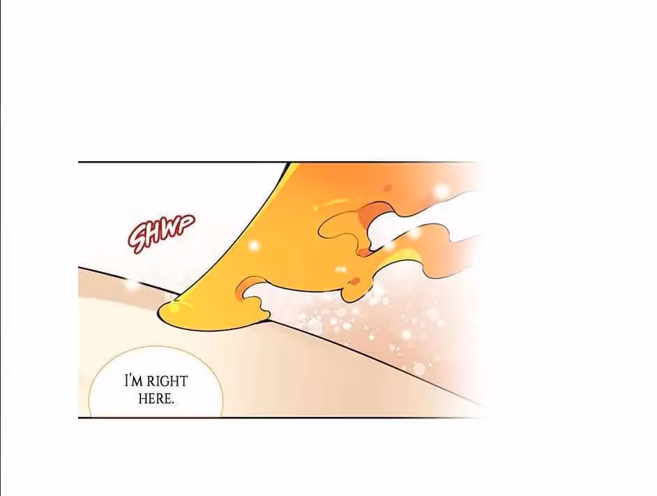 Read The Cook