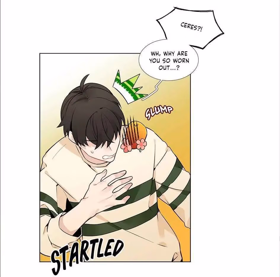 Read The Cook