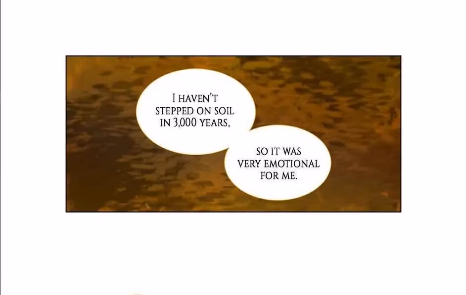 Read The Cook