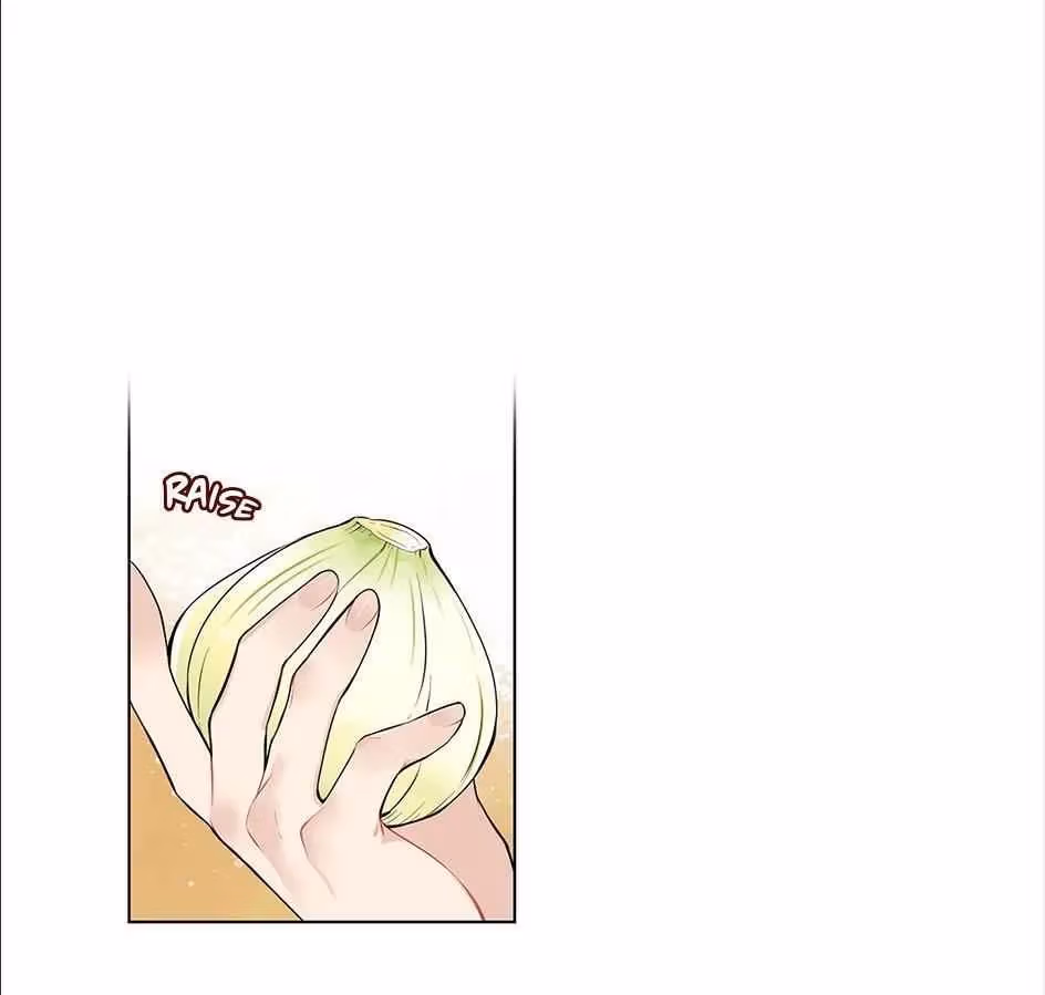 Read The Cook