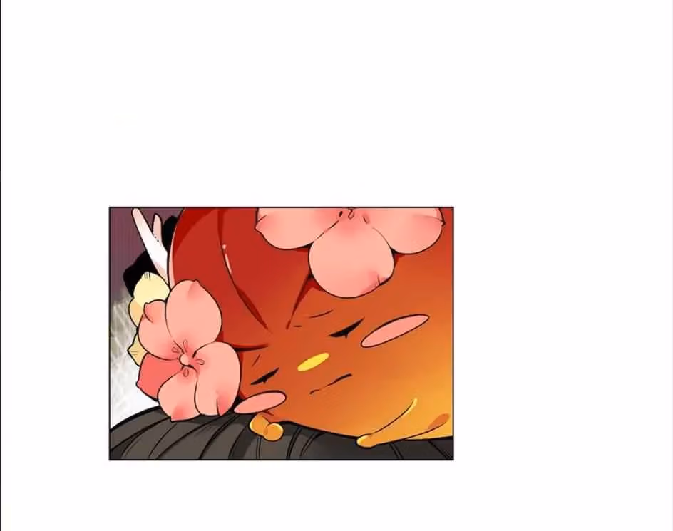 Read The Cook