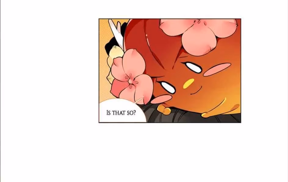 Read The Cook