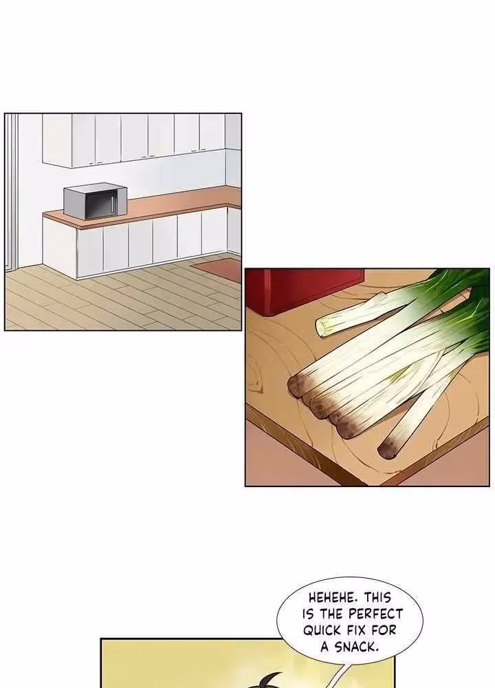 Read The Cook