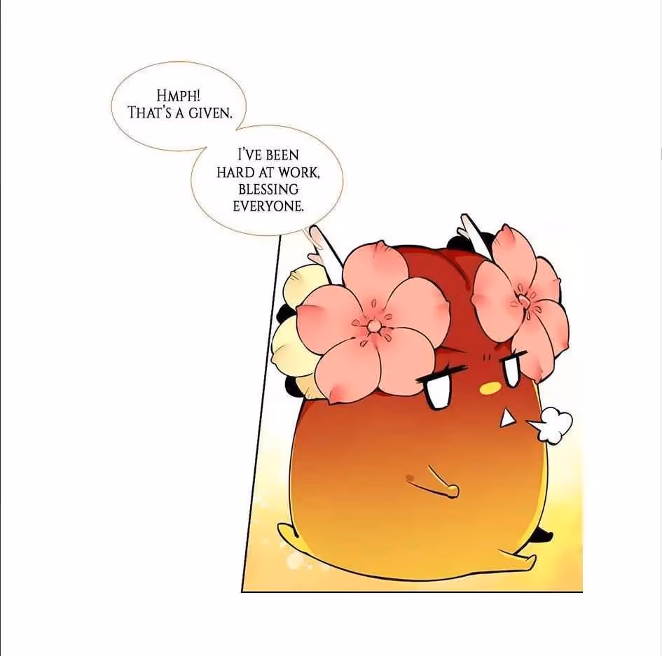 Read The Cook