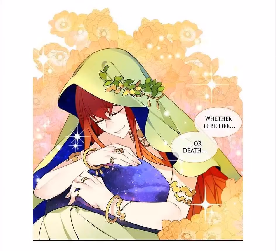 Read The Cook