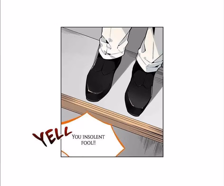 Read The Cook
