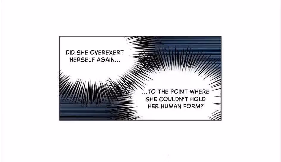 Read The Cook