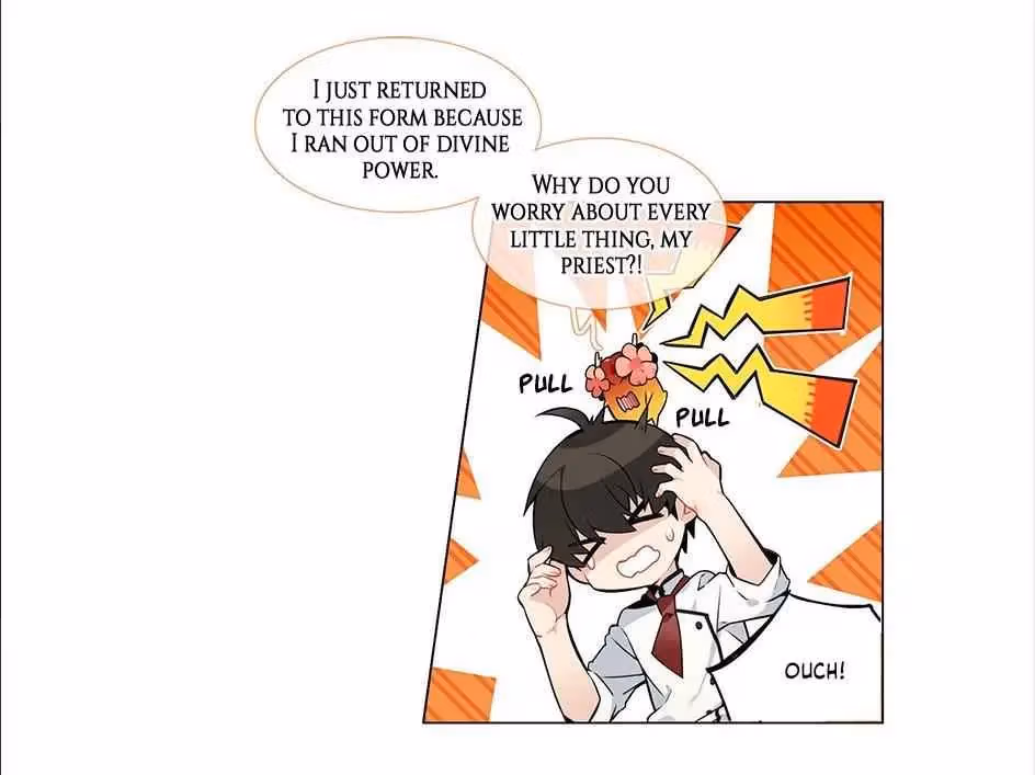 Read The Cook