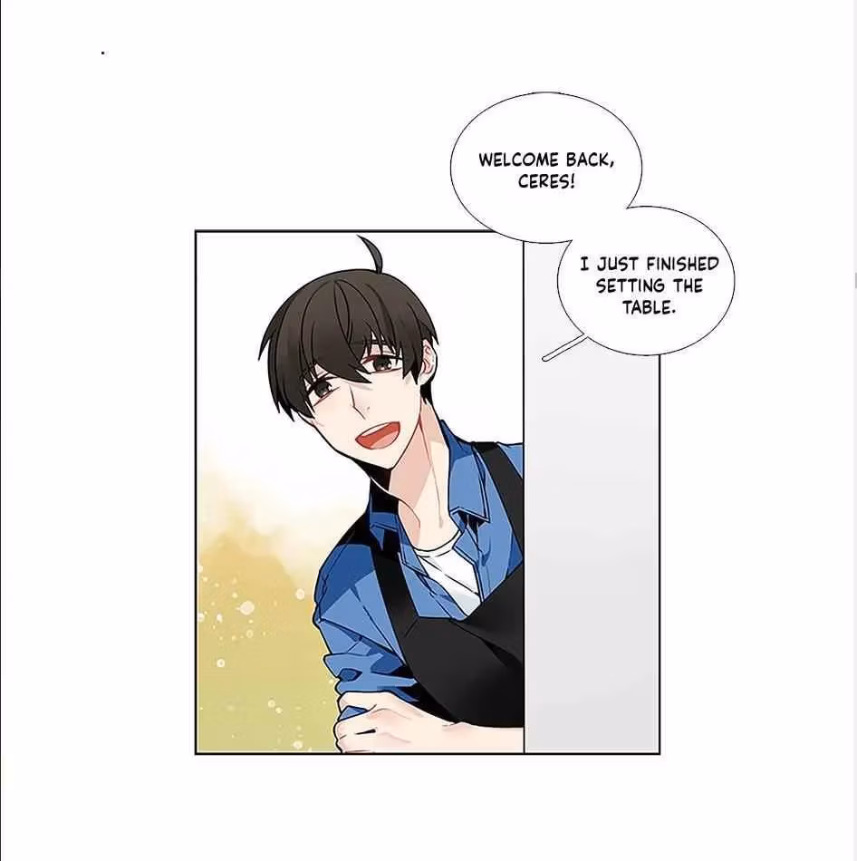 Read The Cook