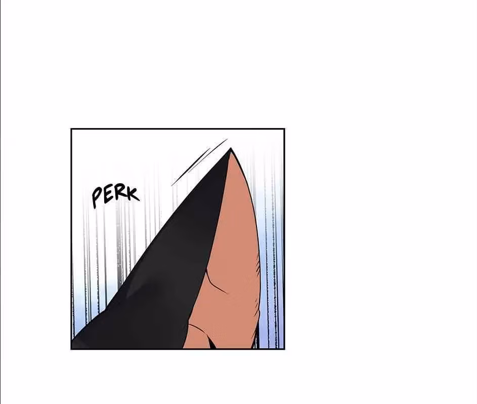 Read The Cook
