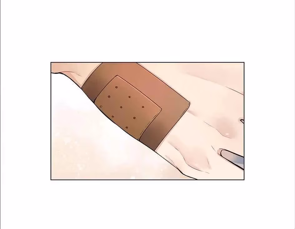 Read The Cook