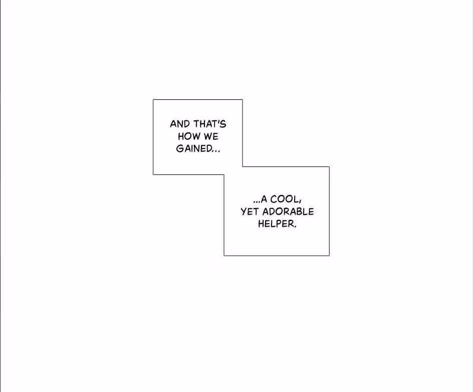 Read The Cook