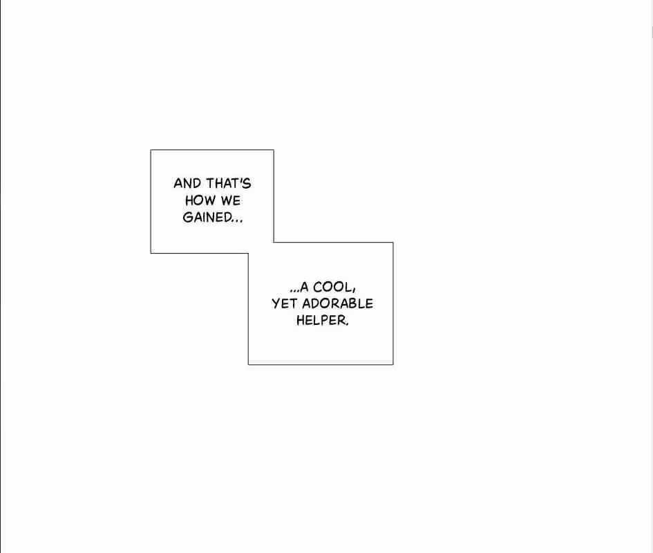 Read The Cook