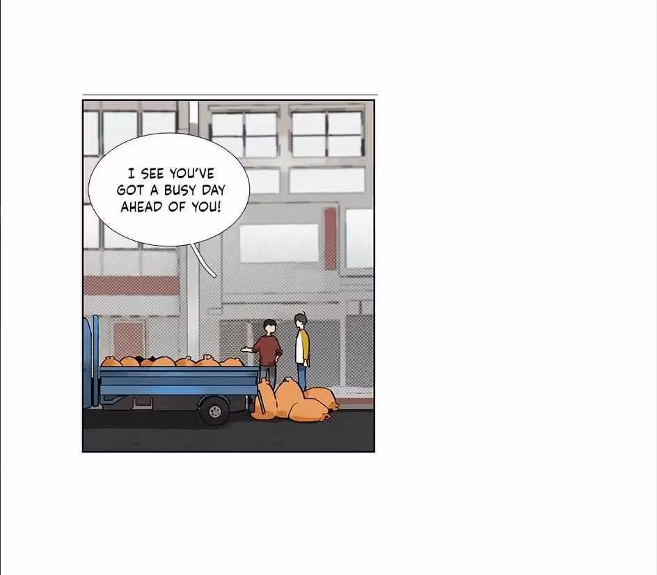 Read The Cook