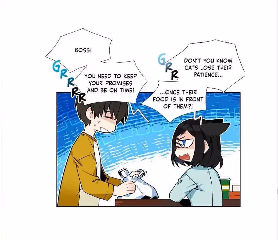 Read The Cook