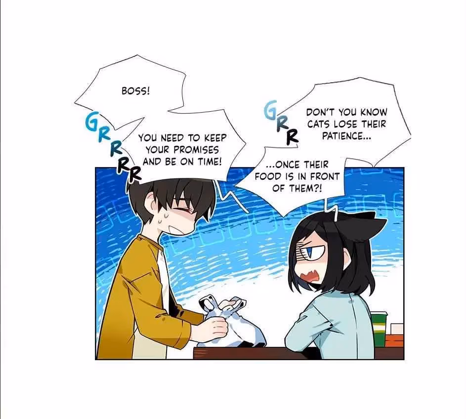 Read The Cook