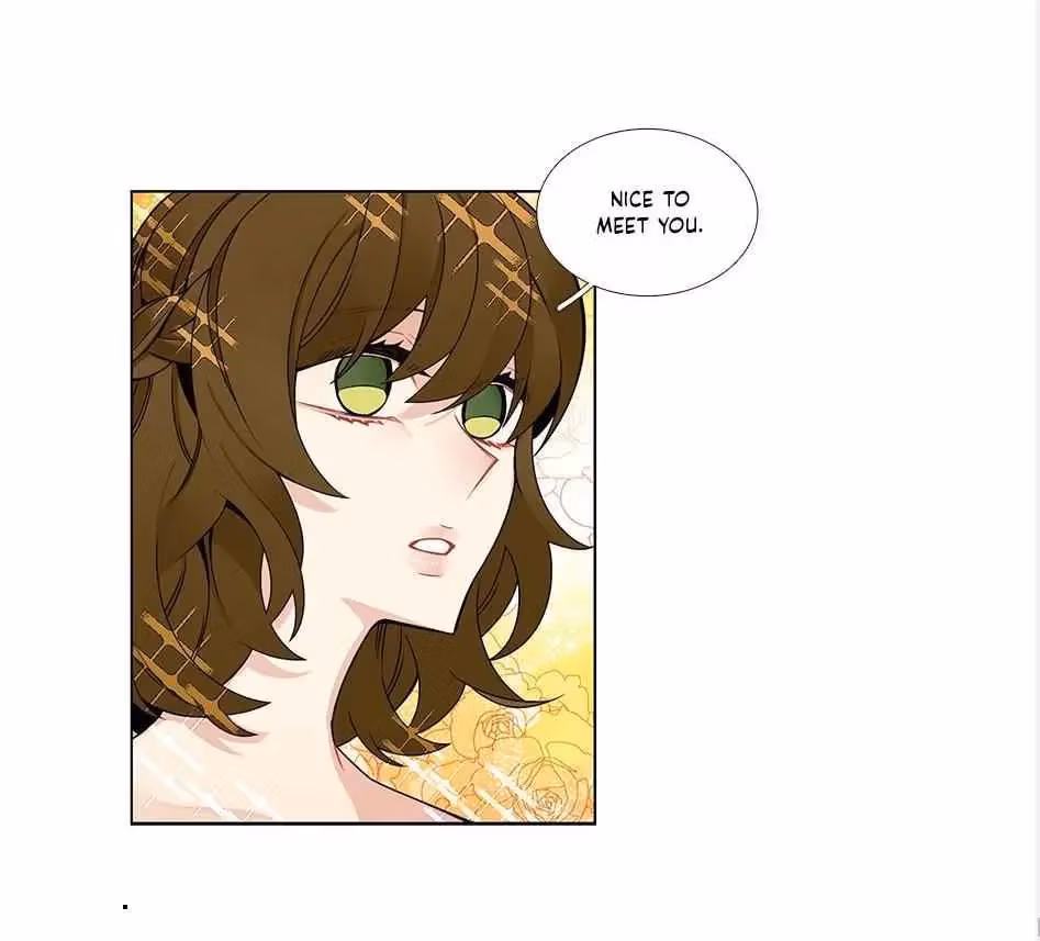 Read The Cook