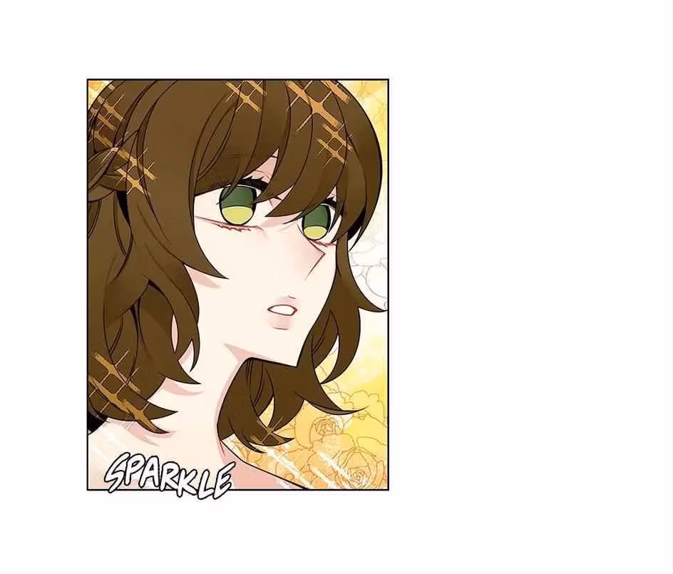 Read The Cook