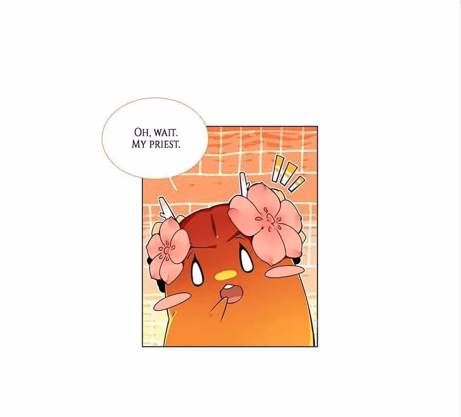 Read The Cook
