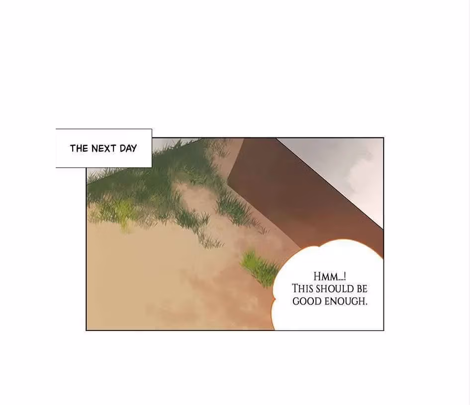 Read The Cook