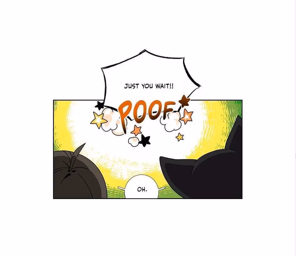 Read The Cook