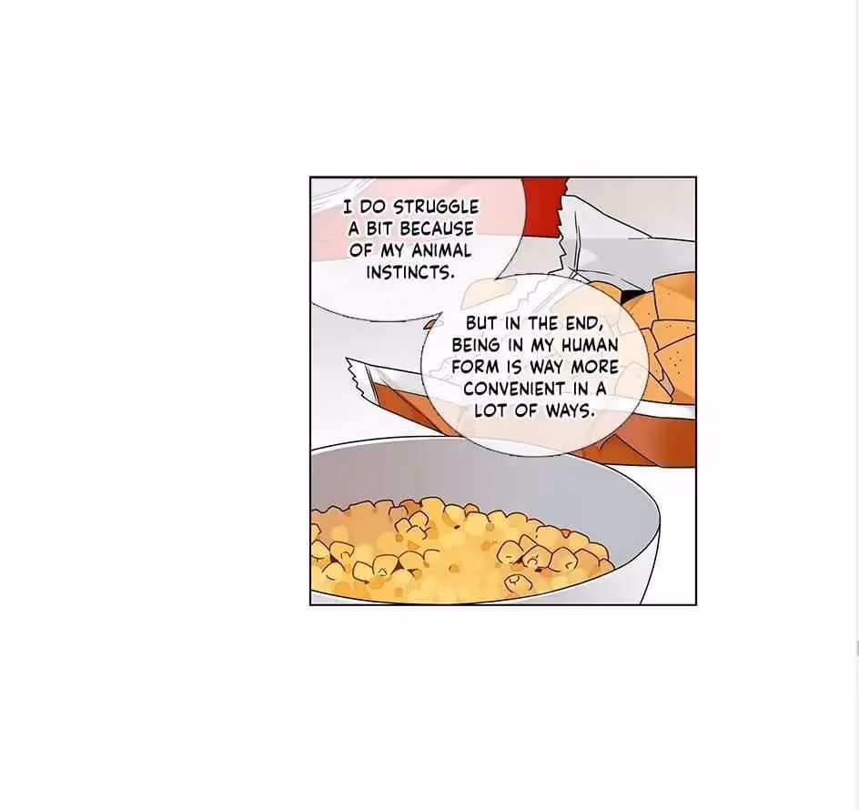 Read The Cook